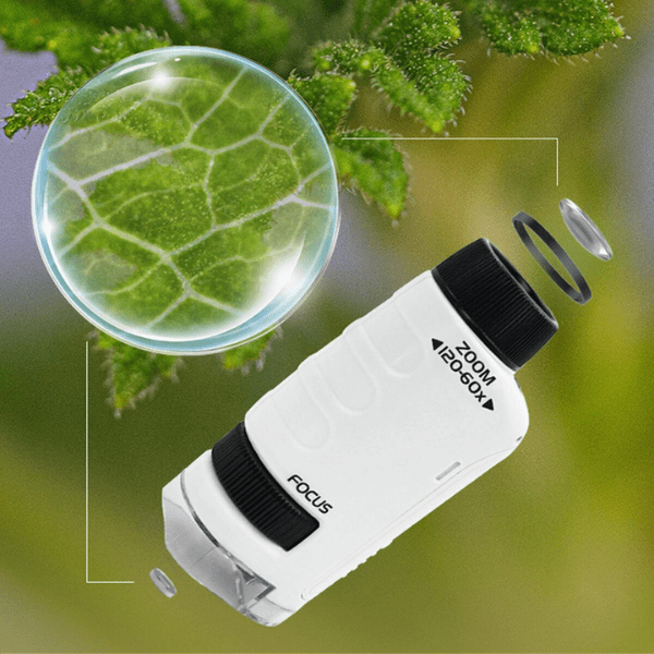 MicroVision Microscópio Portátil Descubre un Nuevo Mundo  - [PROMOCIÓN DISPONIBLE SOLO HOY]
